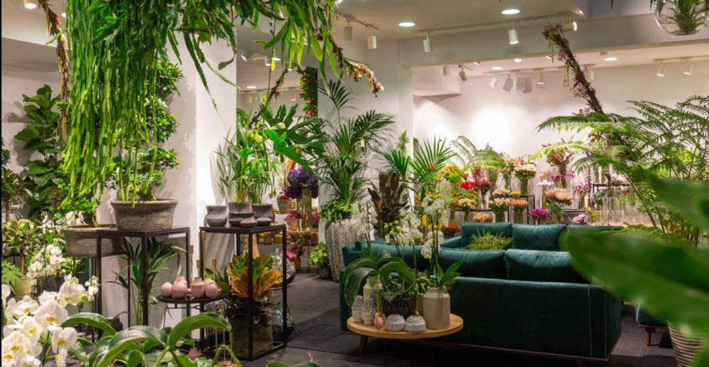 Columelas, la nueva concept store floral en Hermosilla