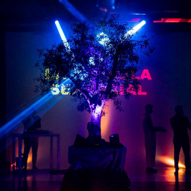 Espacio Harley lanza La Cápsula Sensorial