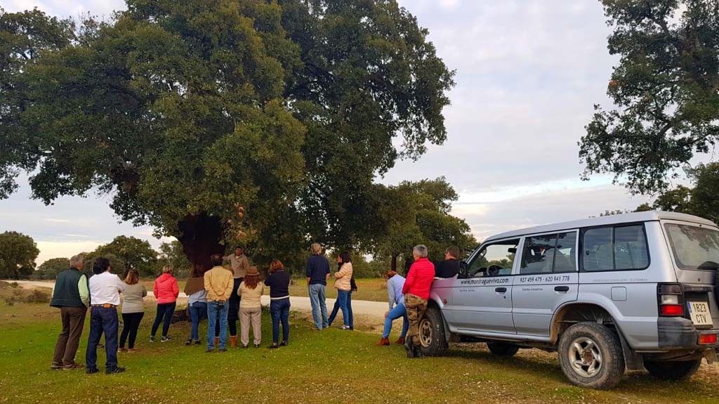 Destino Activo Viajes