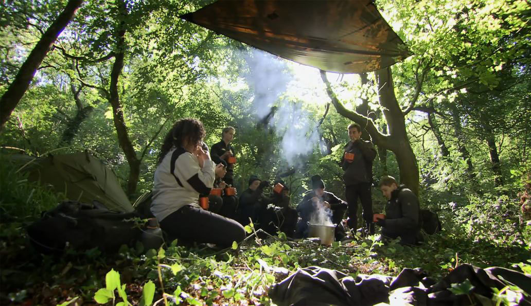 Academia supervivencia