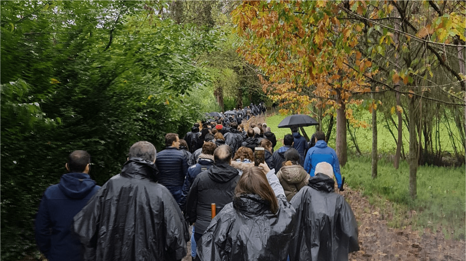Forum Camino Trevisani