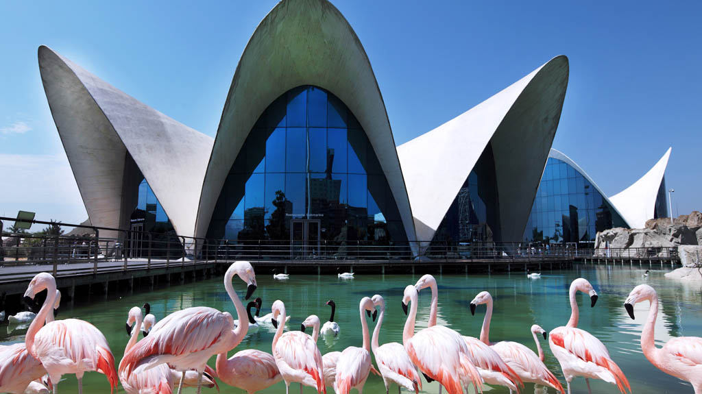 VALENCIA Ciudad Artes y Ciencias