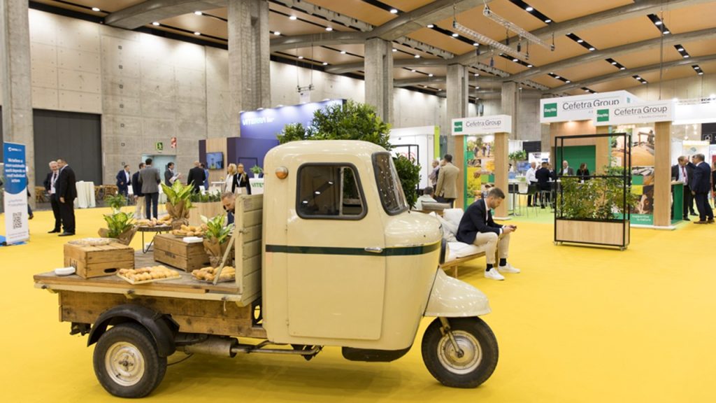 Photo of Transvia Business 16