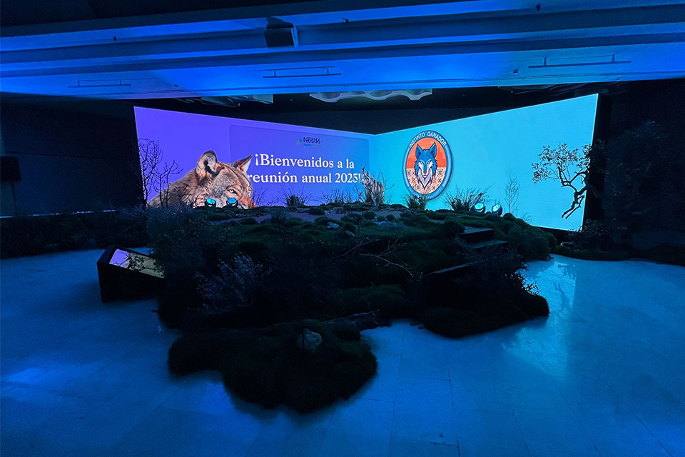 Image of Edyma Medios Audiovisuales