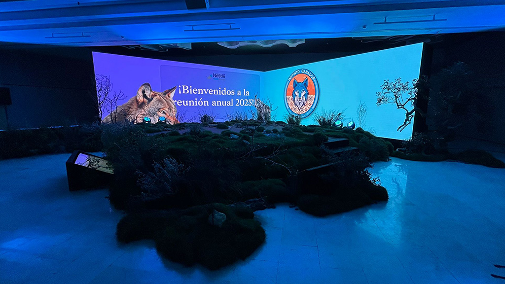 Photo of Edyma Medios Audiovisuales 1