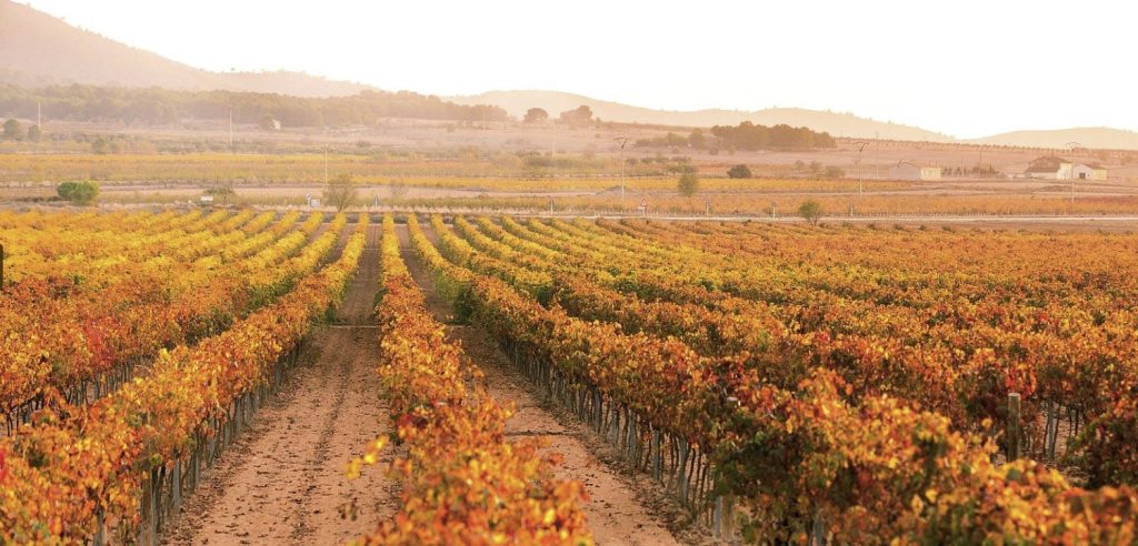 Foto de COSTA BLANCA DMC 15