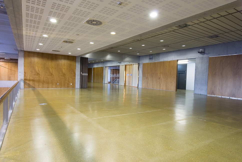 Foto de Auditorio y Centro de Congresos Víctor Villegas 15