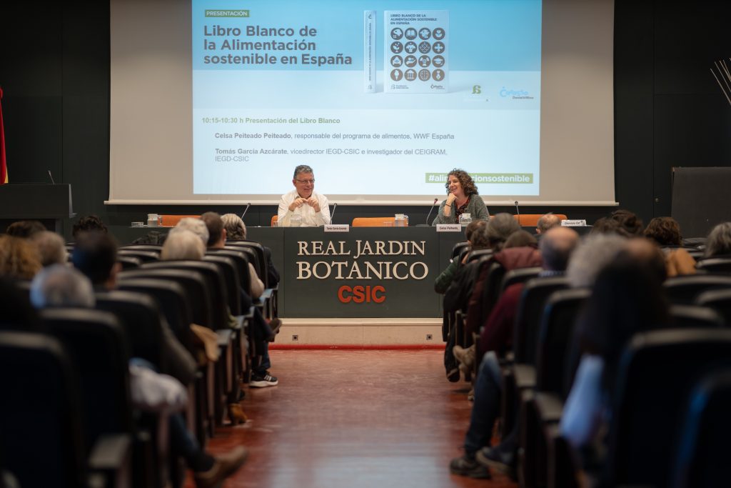 Foto de Roberto del Castar – Fotógrafo de eventos en toda España 10