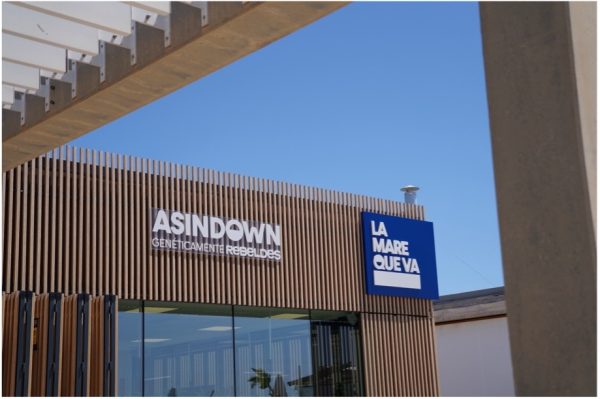 LA MARE QUE VA de ASINDOWN
