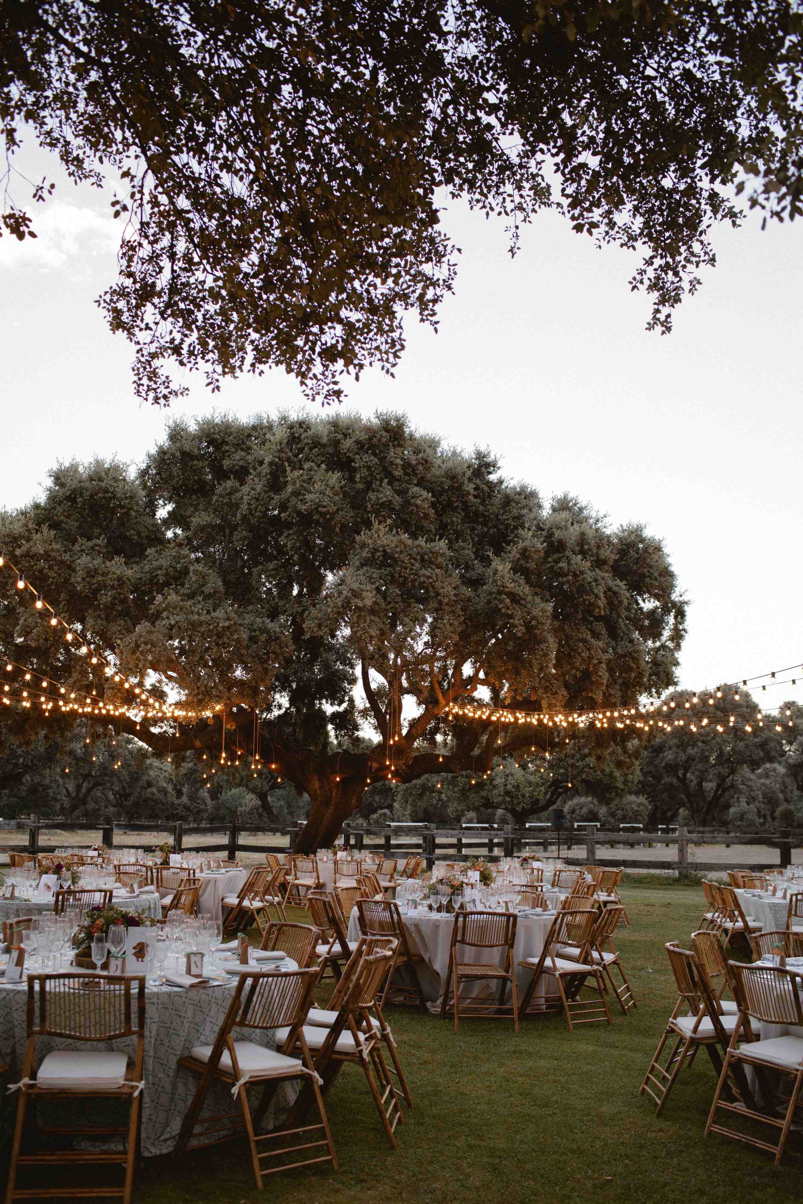 Foto de Dehesa de Abantos 4