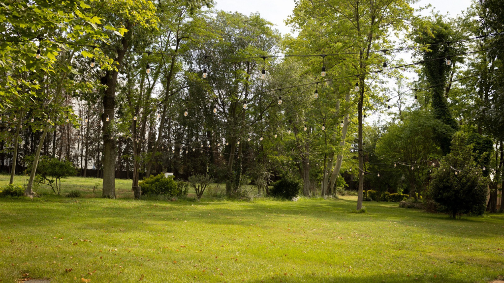 Foto de Torre Cellers 5