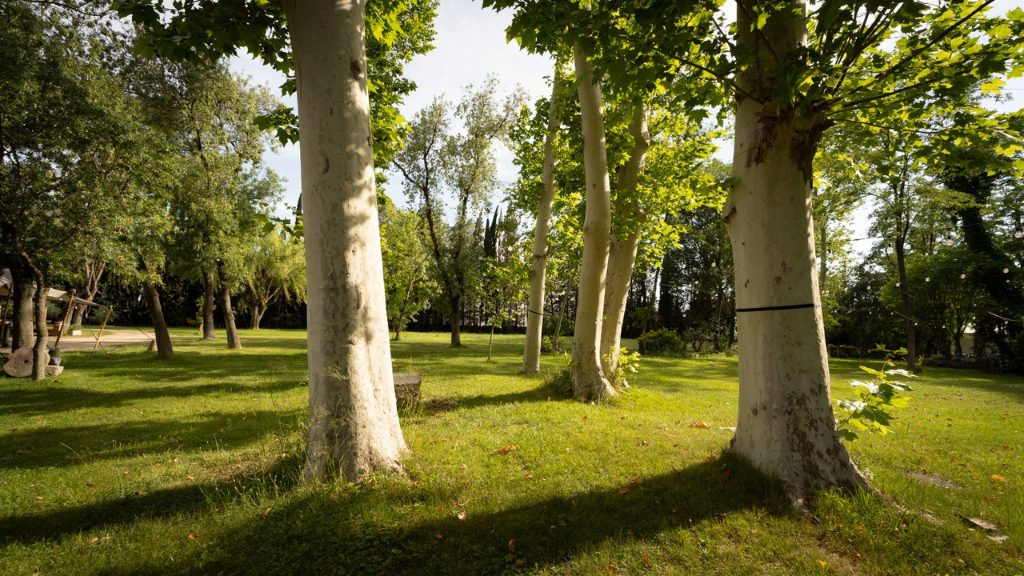 Foto de Torre Cellers 6