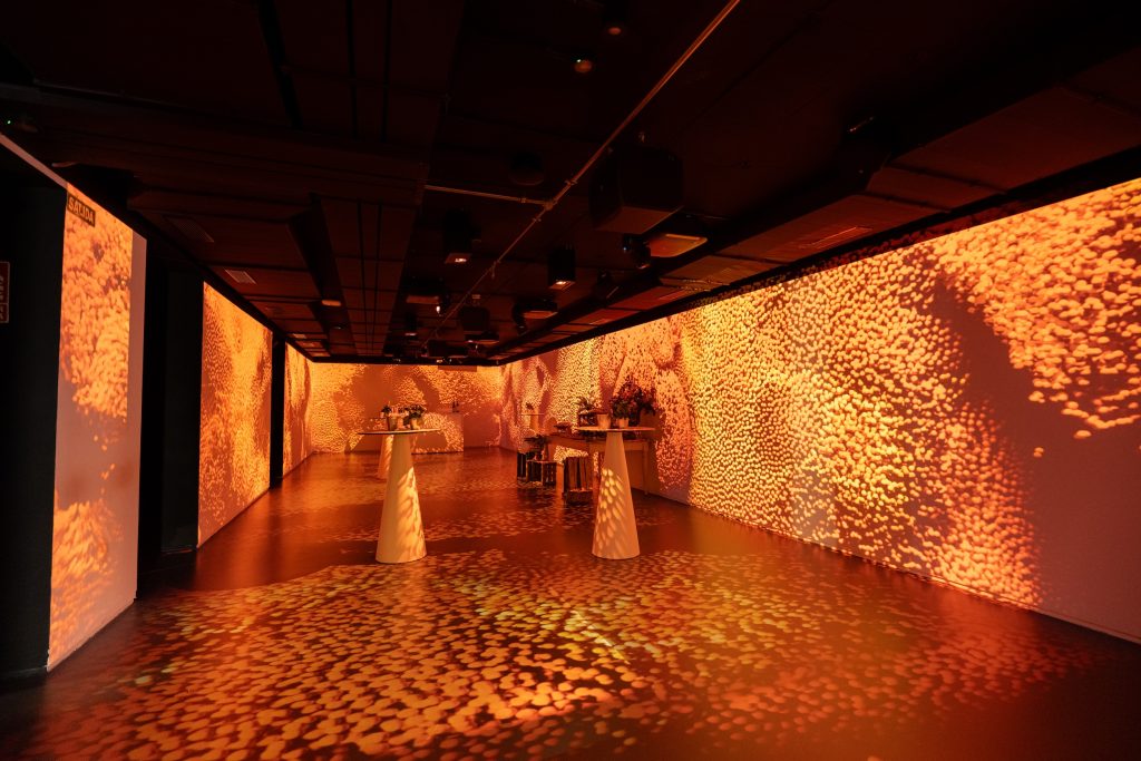 Photo of Legends Colletion 8