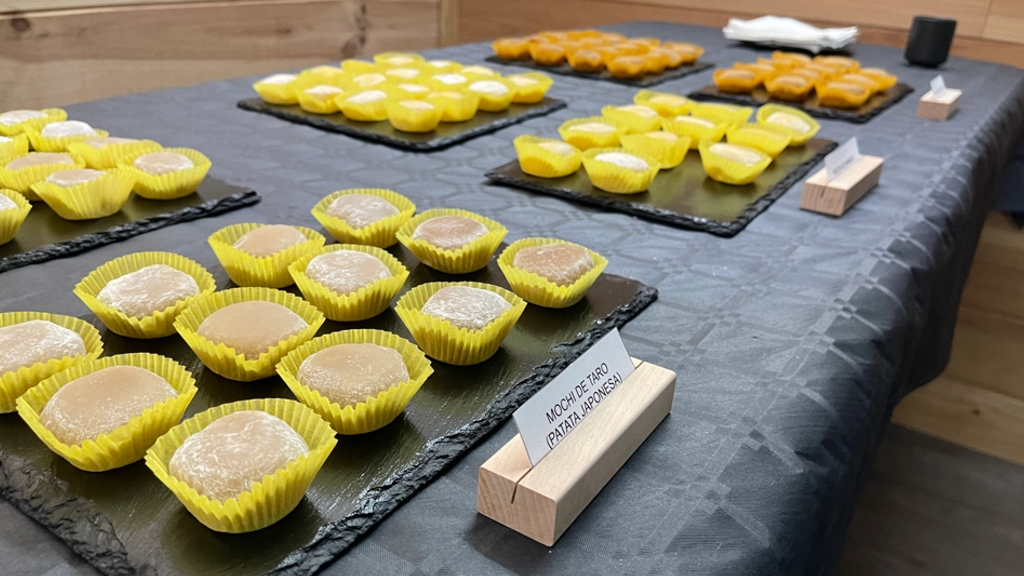 Photo of Samurai Experiencie 17