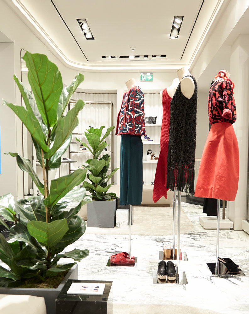 Foto de Instantánea y Tomaprimera 10