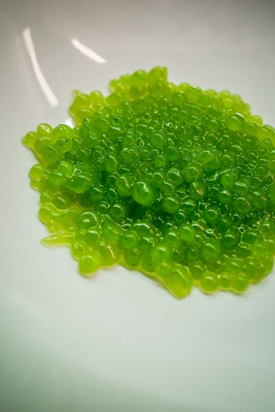 Foto de Xavi Queralt 1