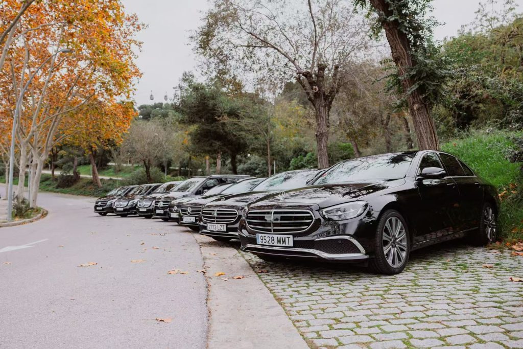 Image of TravelLux Limousine