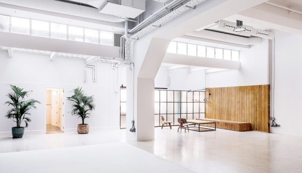 Foto de Mr Fox Estudio 1