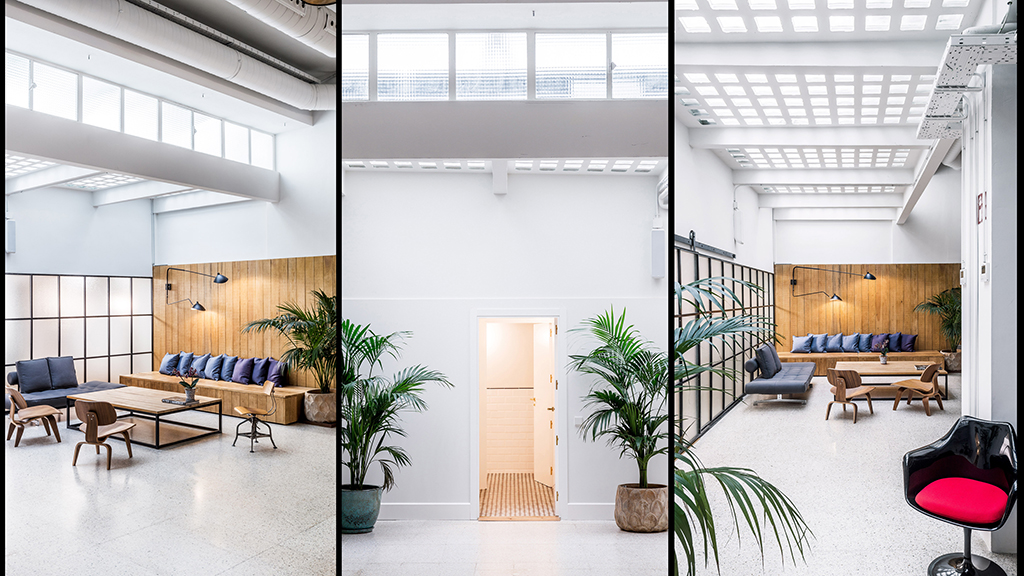 Foto de Mr Fox Estudio 9