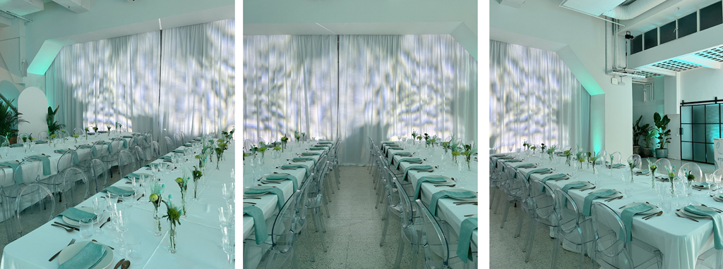 Foto de Mr Fox Estudio 18