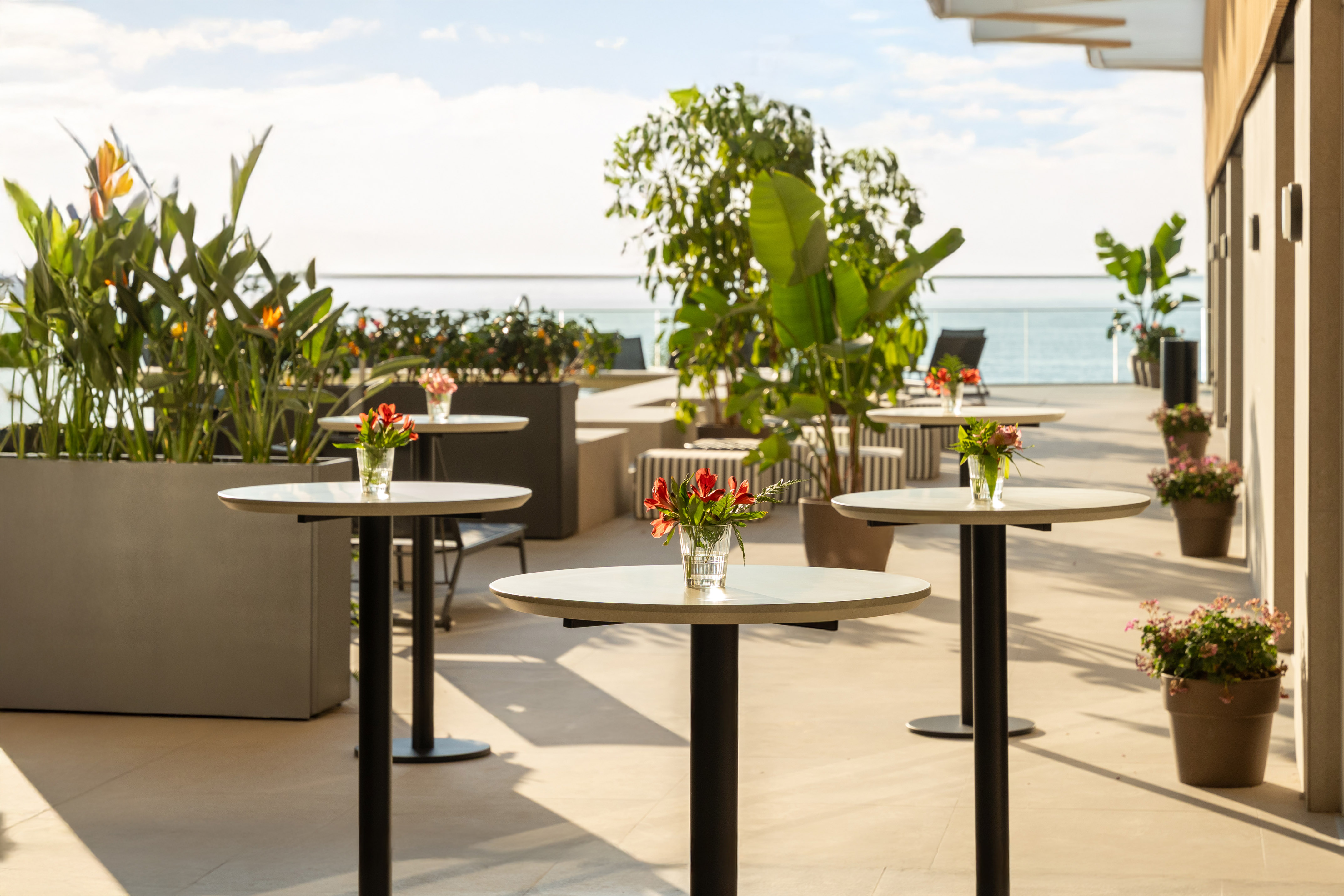 Photo of INNSiDE by Meliá Alicante Porta Maris 8