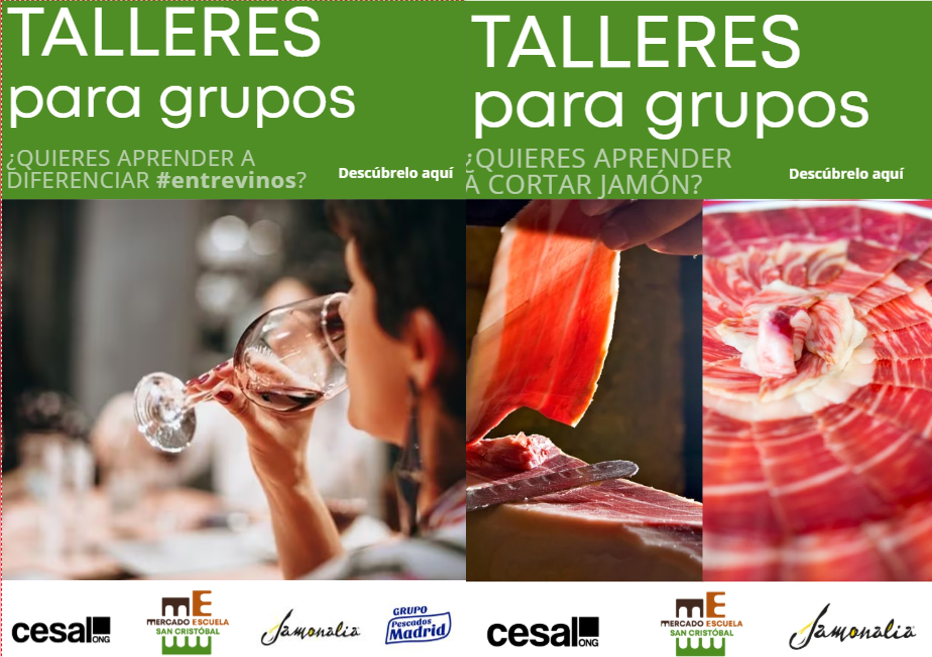 Foto de Mercado Escuela San Cristobal 5