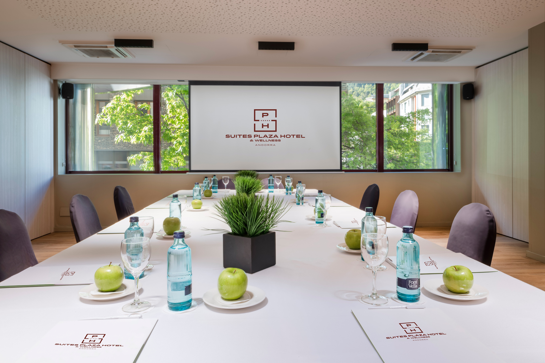 Foto de Suites Plaza Hotel & Wellness Andorra 5