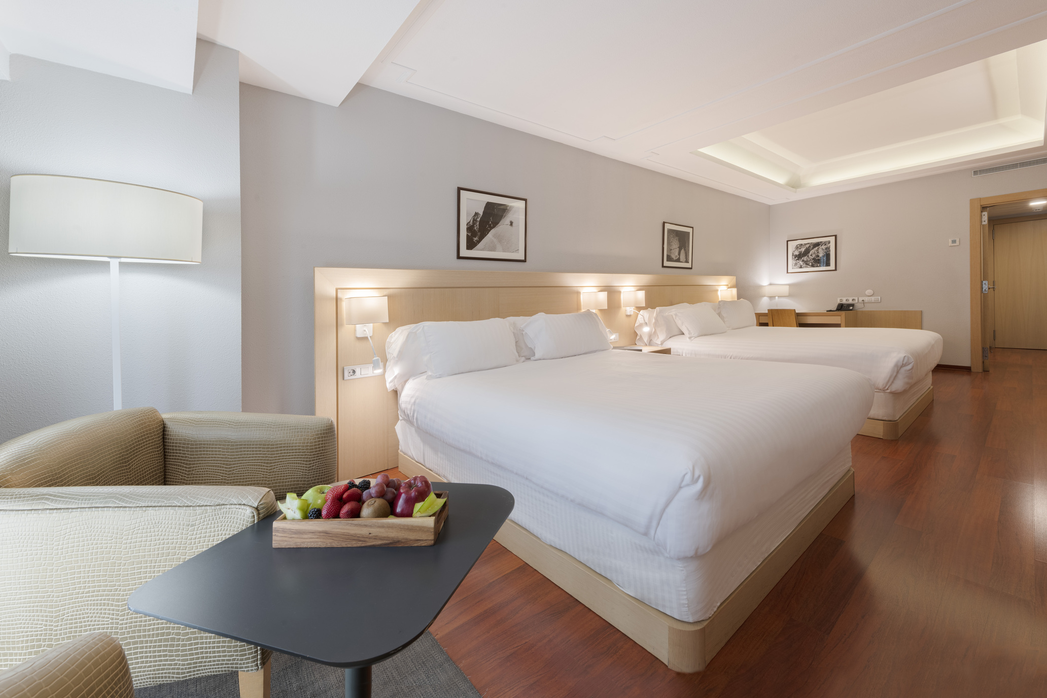 Foto de Suites Plaza Hotel & Wellness Andorra 21