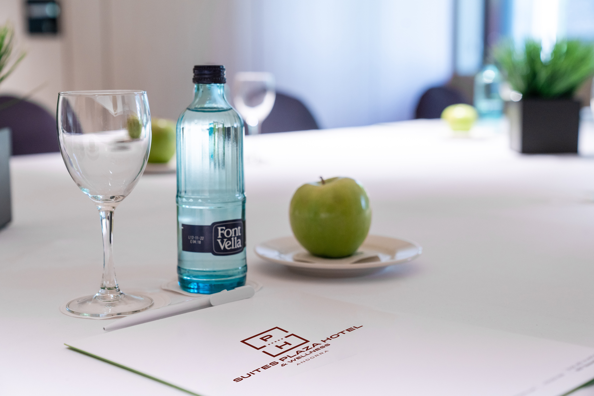 Foto de Suites Plaza Hotel & Wellness Andorra 6