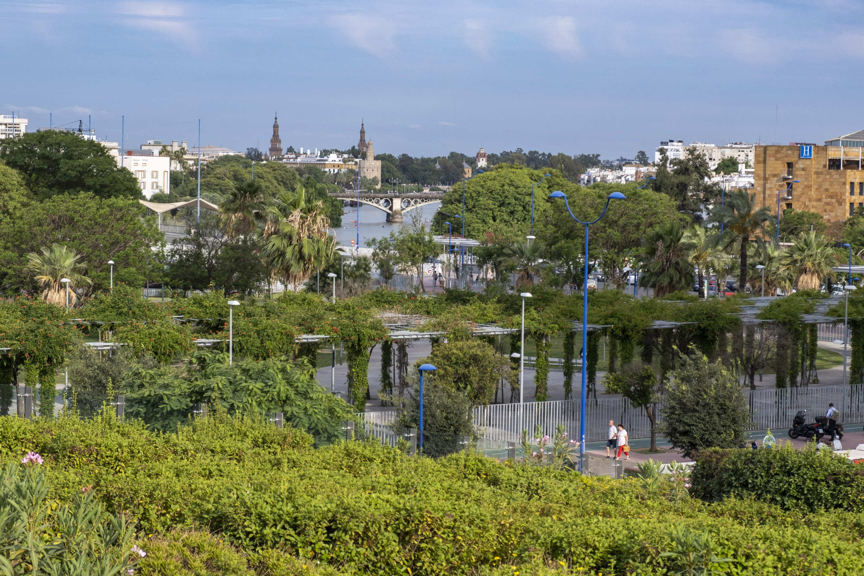 Photo of TORRE SEVILLA LOFT GARDEN 7
