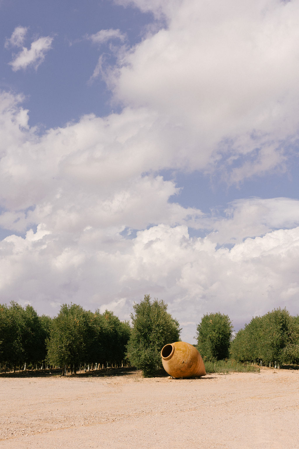 Photo of Cortijo Trifillas 3