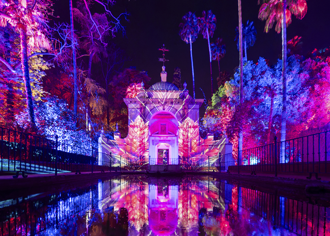 Photo of LetsGo Company 5