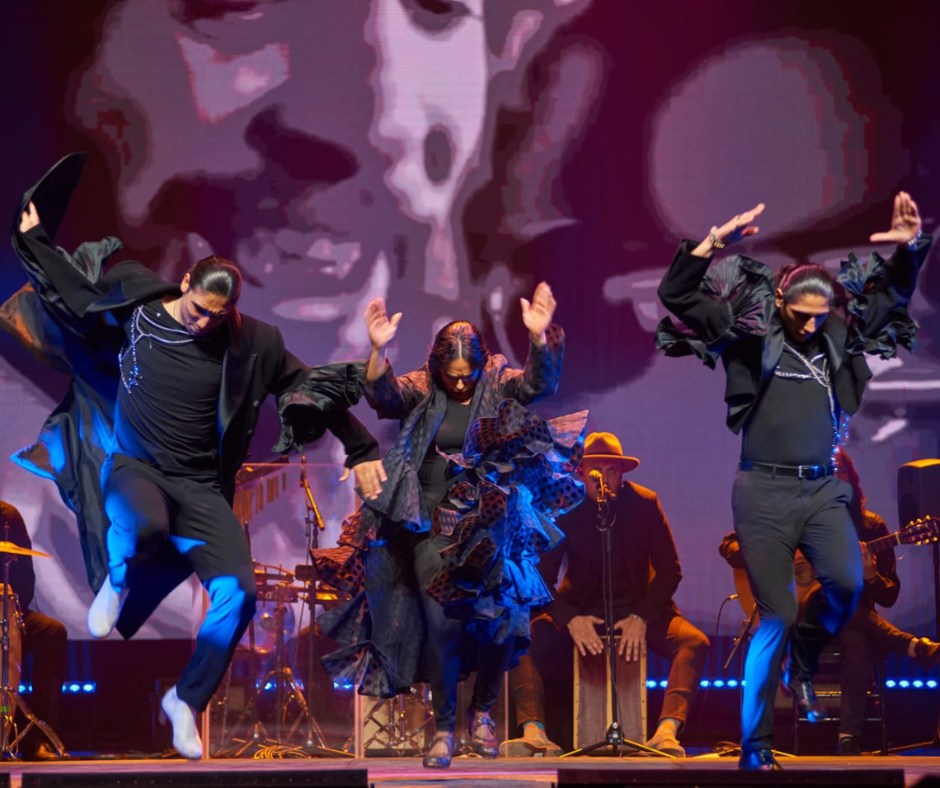 Photo of LetsGo Company 4