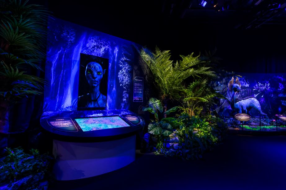 Photo of LetsGo Company 3