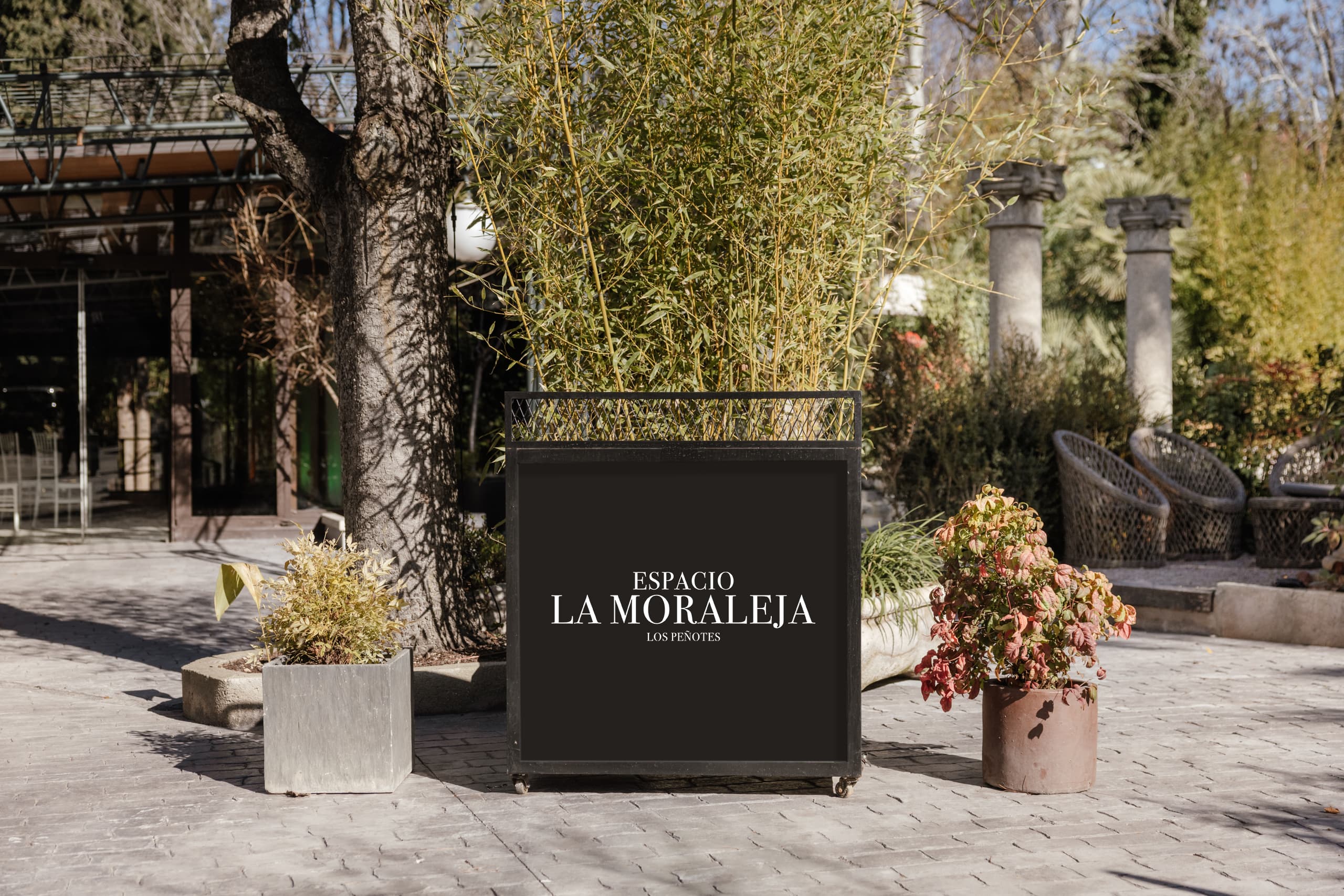 Photo of Espacio La Moraleja 1