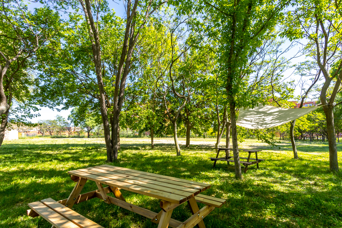 Photo of Colegio Greenfield 11