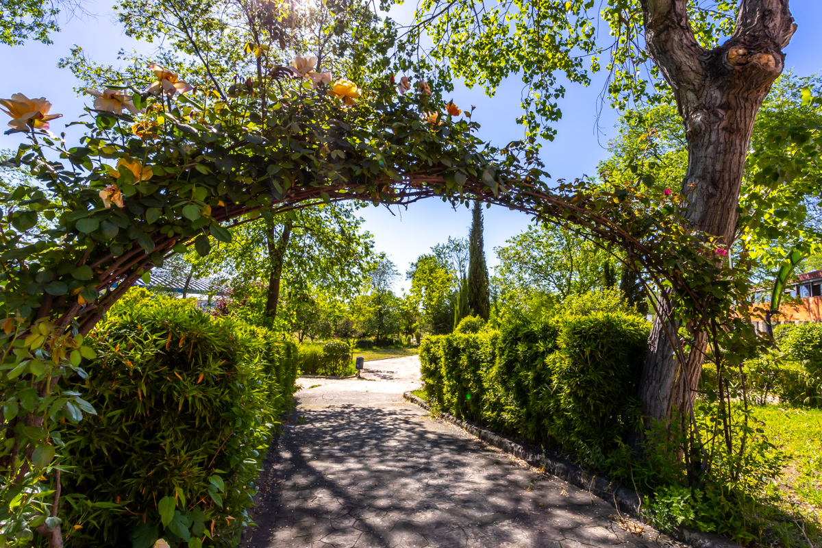 Photo of Colegio Greenfield 10