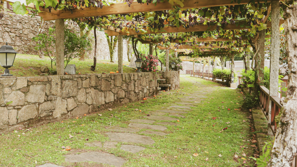 Photo of Pazo de Adrán 10