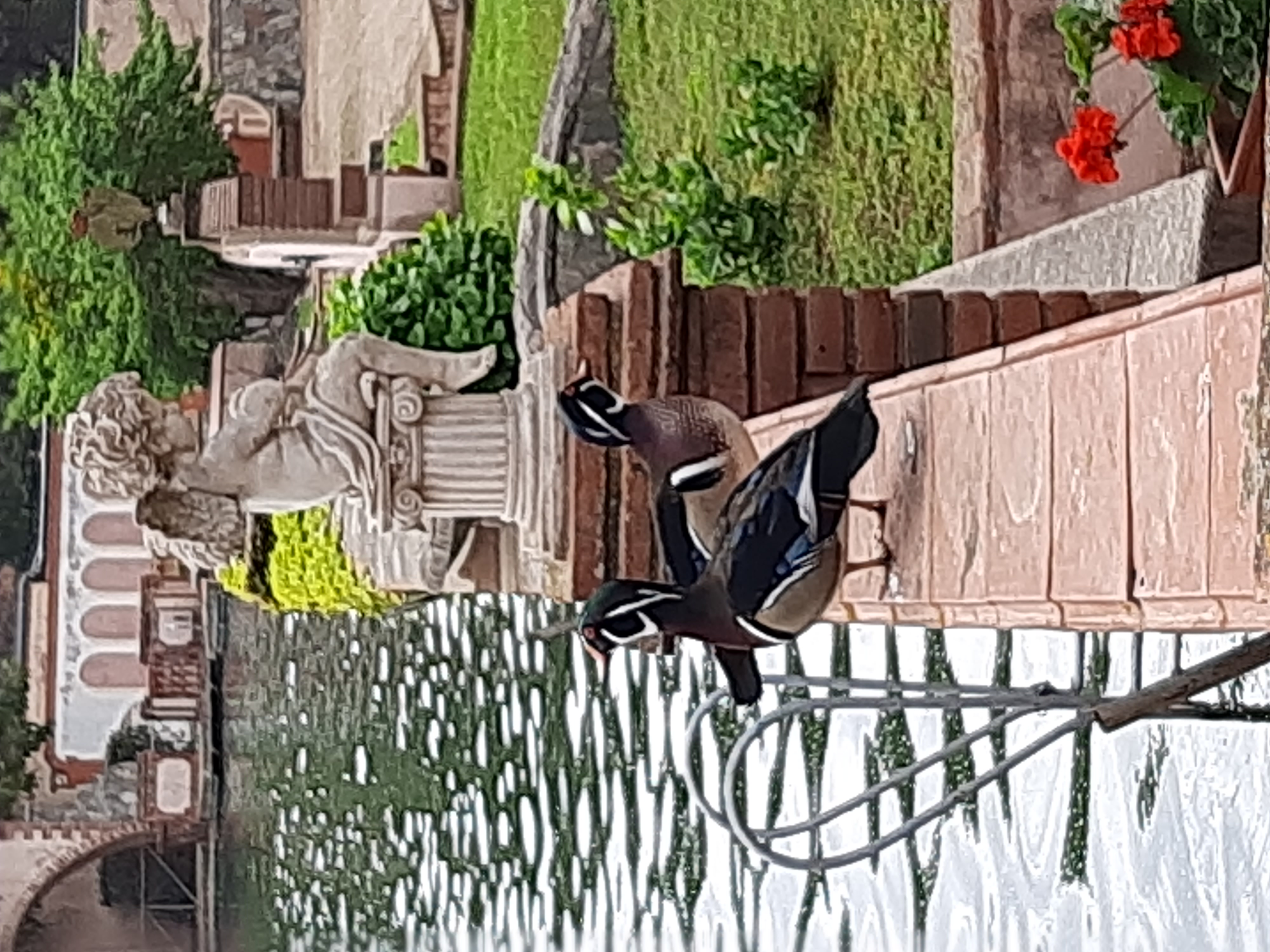 Foto de Hotel Termes Montbrió 14