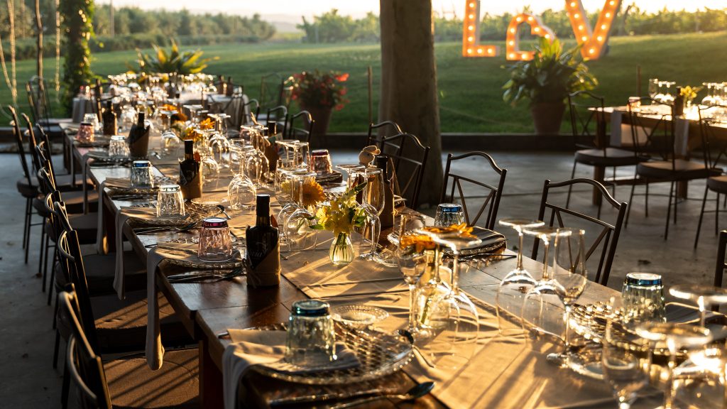 Photo of Masia La Torre del Gall 5