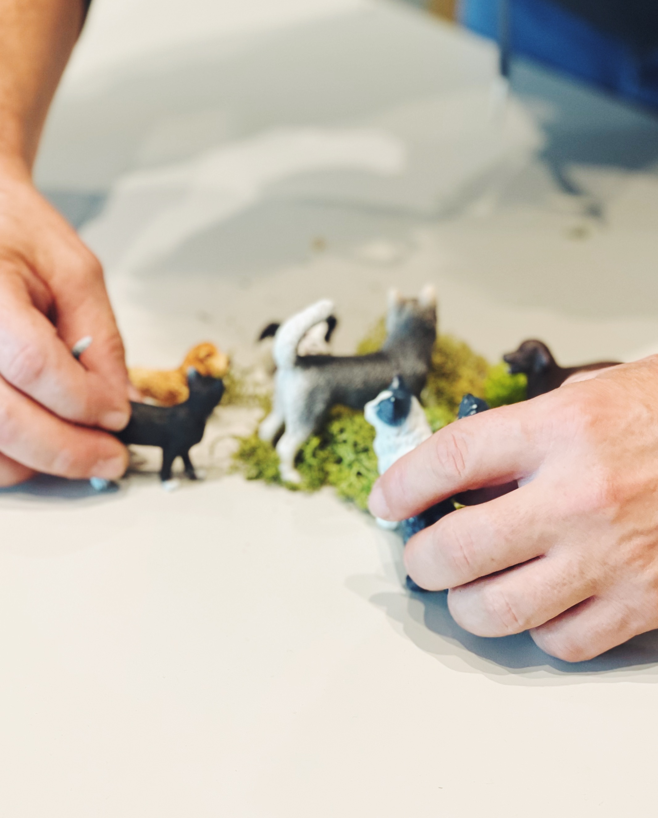 Photo of Elmeetingpoint 6