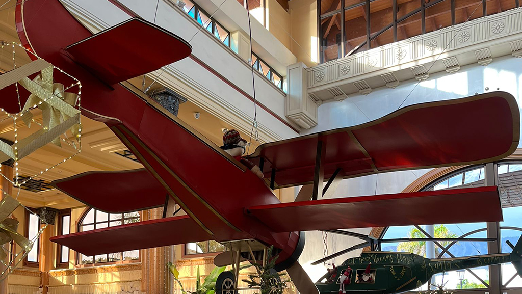 Foto de Mister Karton 9