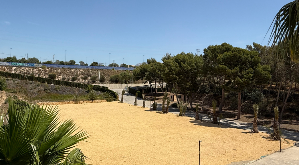 Photo of Finca Les Palmeres 8