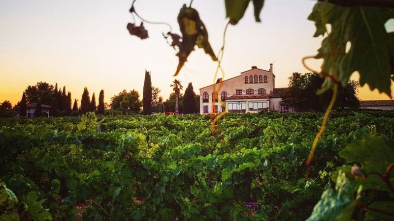 Photo of L’Orangerie de Clos Barenys 5