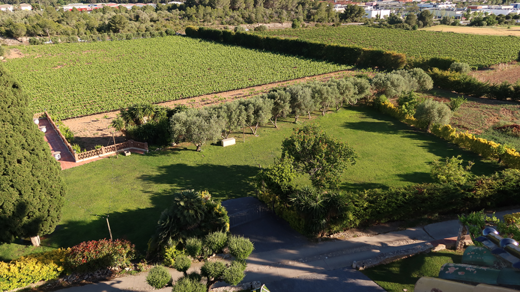 Foto de Clos La Plana 3