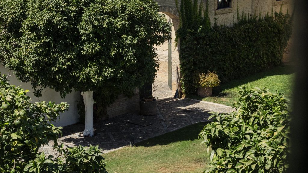 Photo of Hacienda Benazuza 12