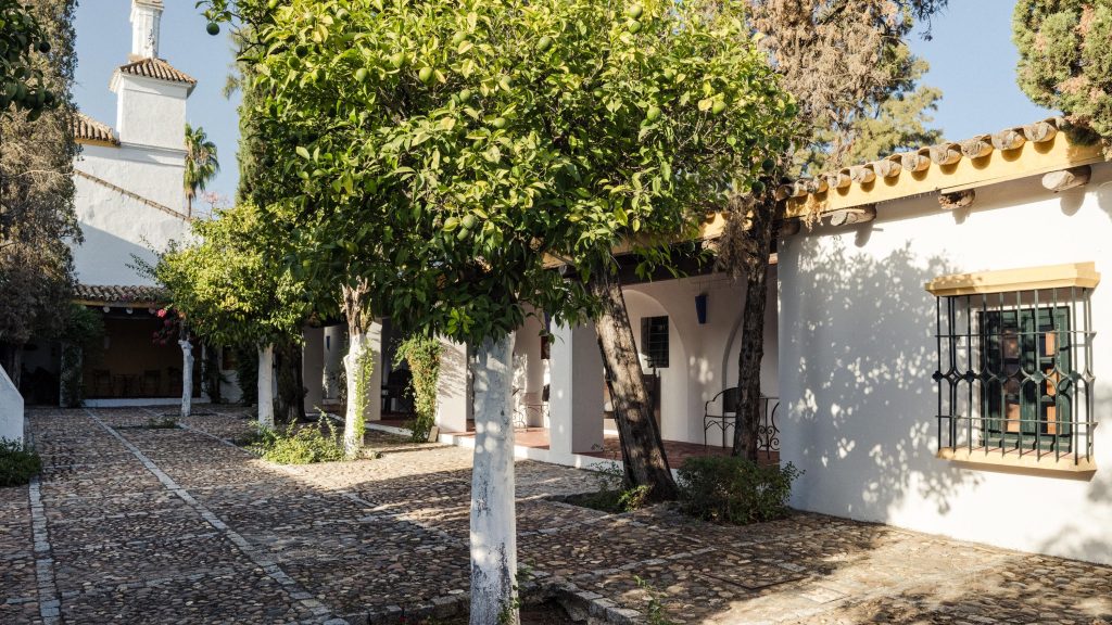 Photo of Hacienda Benazuza 15