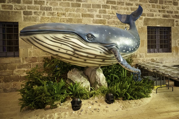 Photo of Kuonitumlare Mettings & Events Spain 9