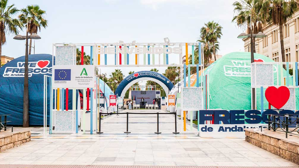 Photo of Grupo Absolute 10