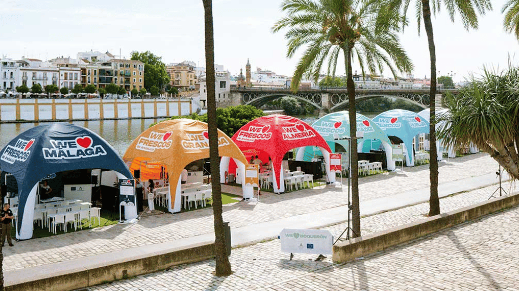 Photo of Grupo Absolute 9